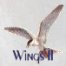 Wings II Email Stationery icon